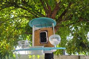 This smart bird feeder with built-in 1080p camera is now 37% off