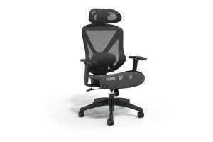 This Staples ergonomic chair is usually $300. Today, it's $120